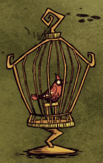 birdcage don't starve|bird cage dont starve together.